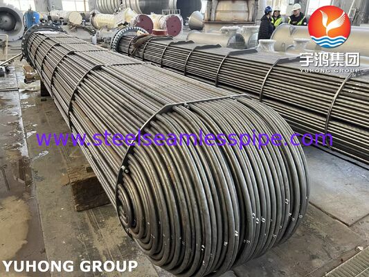 Warmtewisselaar buizenbundel SA350 LF2 CL1 Tubesheet SA334 Gr.6 U-bocht buis