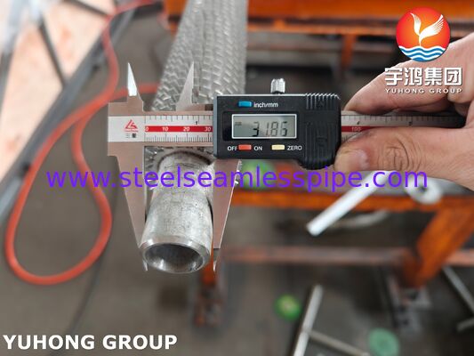 Hoogfrequente gelaste getinte scharnierbuis TP304H basis / SS304 scharnier