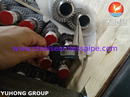 Hoogfrequente gelaste getinte scharnierbuis TP304H basis / SS304 scharnier