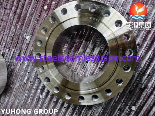 STAALFLENZEN ASTM B564 NIKKELEGERING MONEL400 UNS N04400 WNRTJ FLENS