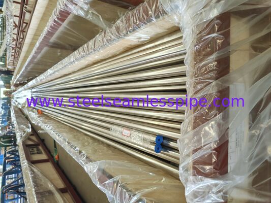 ASME SA213 TP304H naadloze ketelbuis voor oververhitter en naverwarmer