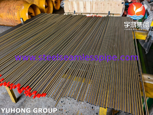 ASME SA789 UNS32205 S31803 Duplex Steel Seamless Tube Heat Exchanger Tube voor warmtewisselaar, waterbehandeling, voedselverwerking