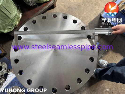 ASTM A182 F316L Blindflens 1.4404 Roestvrijstalen Flens Gesmede Flens BLRF Flens