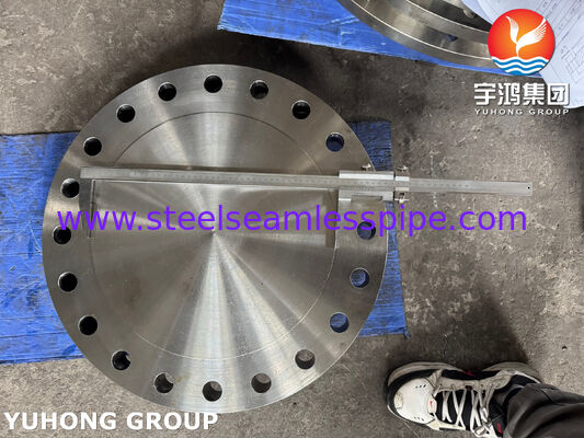 ASTM A182 F316L Blindflens 1.4404 Roestvrijstalen Flens Gesmede Flens BLRF Flens
