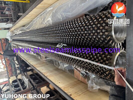 ASTM A335 P22 buizen met noppen voor afvalwarmteterugwinning