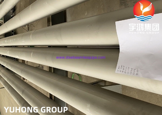 ASTM A312 UNS S31254 254SMO Duplex Offshore Pipe van roestvrij staal