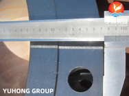 Waterontzilting ASTM A182 F51 ((UNS S31803) Duplex Steel Weld Neck RF Flange B16.47
