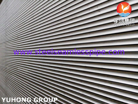 HET ROESTVRIJE STAAL NAADLOZE BUIS VAN ASTM B677/ASME SB677 UNS NO8904/TP904L/1.4539