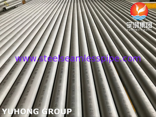 Het Roestvrije staal van ASTM A312/van A312M ASME SA312-2018a TP310S om Pijp