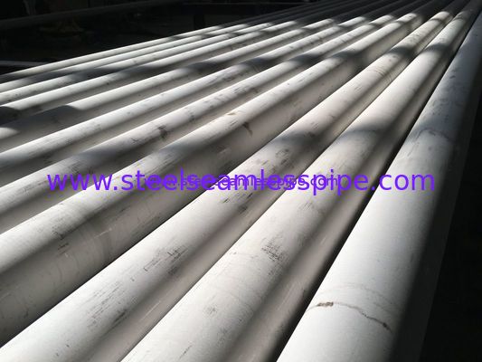 ASTM A312, ASTM A213, 254SMo, en10216-5 1,4547, Super Austenitic het Roestvrije staalnaadloze buis en Buis van UNS S31254