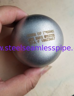End Cap ASTM A815 UNS S32205 2205 Duplex roestvrij staal Buttweld Fitting voor ontzilting