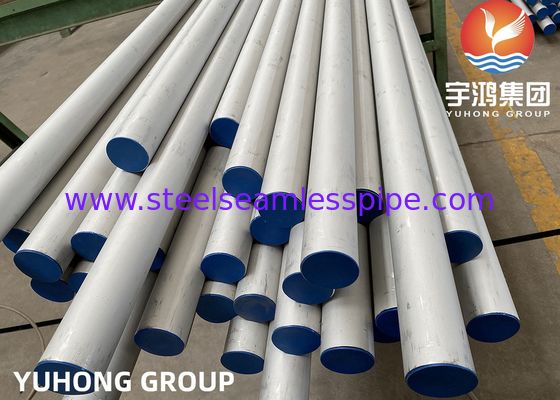 DIN 2,4851 ASTM B163 Inconel 601/UNS N06601/de Warmtewisselaarbuis van de Nikkellegering