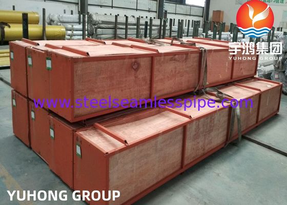 DIN 2,4851 ASTM B163 Inconel 601/UNS N06601/de Warmtewisselaarbuis van de Nikkellegering