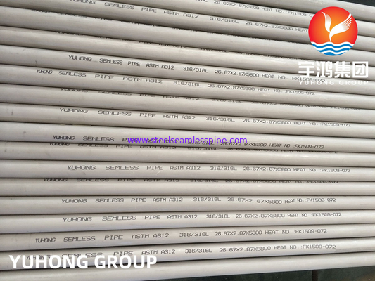 Tubos DE Acero Inoxidable Zonde Costura ASTM A312 TP304L TP316L onthardde het Inleggen 100% UT ET