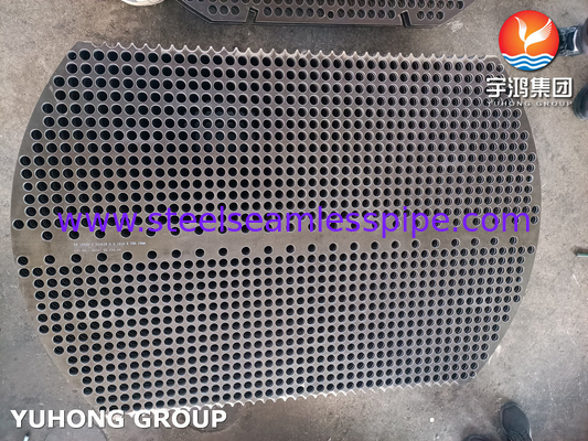 EN10025-2 S235JR Carbon Steel Baffle Plate voor schelpen en buiswarmtewisselaars
