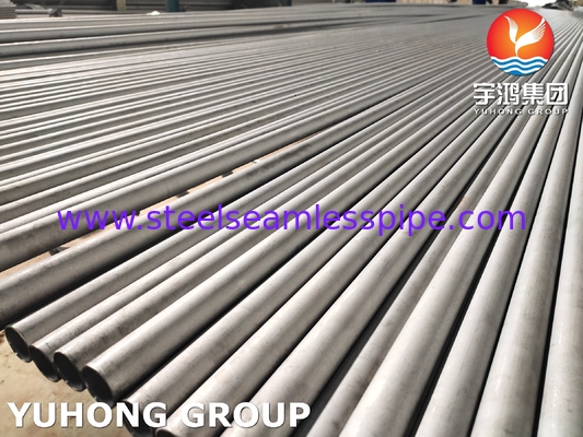 ASTM A789 S31803 Naadloos buisje OD 6-219mm Chloride-resistente chloor-alkaliverwerking