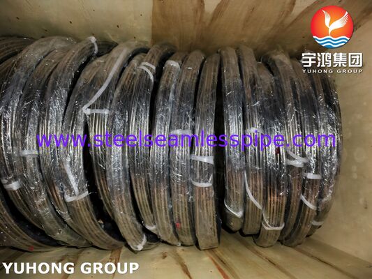 ASTM A269 TP316L Bright Annealed Stainless Steel Coiled Tube voor hydraulische leidingen