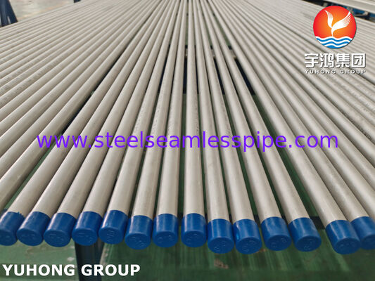 ASTM A213 TP316L 1.4404 Naadloos roestvrij stalen buis voor waterbehandeling, ET / HT