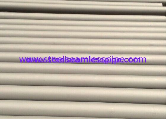 De Buis van Hastelloy C van de Nikcellegering UNS N10001/UNS N10665/UNS N10675 voor Chemische Industrie