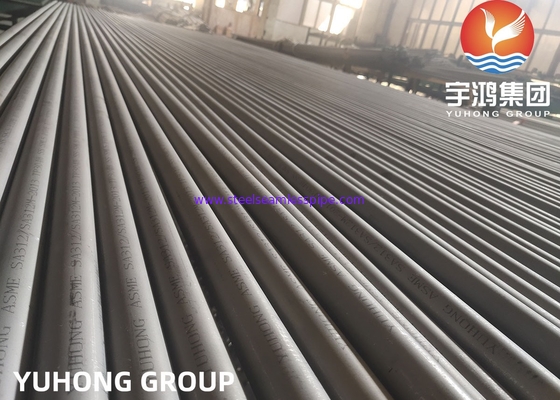 ASTM A312 TP304H ((UNS S30409) Naadloze buizen van roestvrij staal voor de chemische industrie
